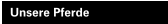 Unsere Pferde
